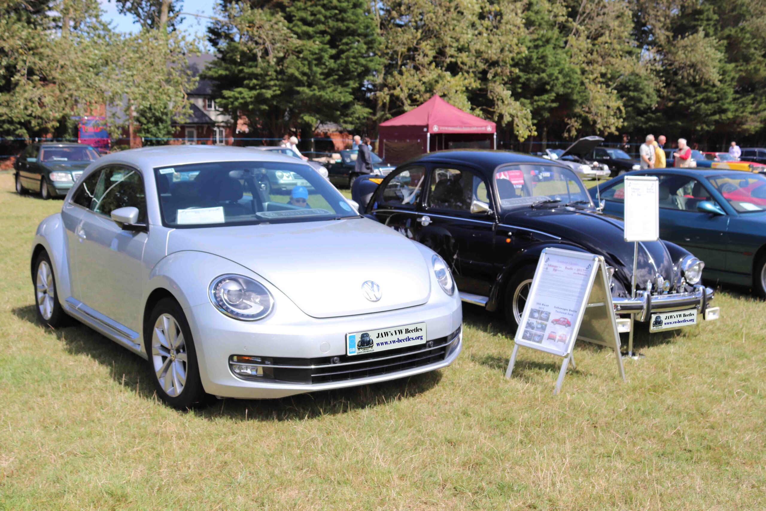 MyBeetle18thAug2019 (12)