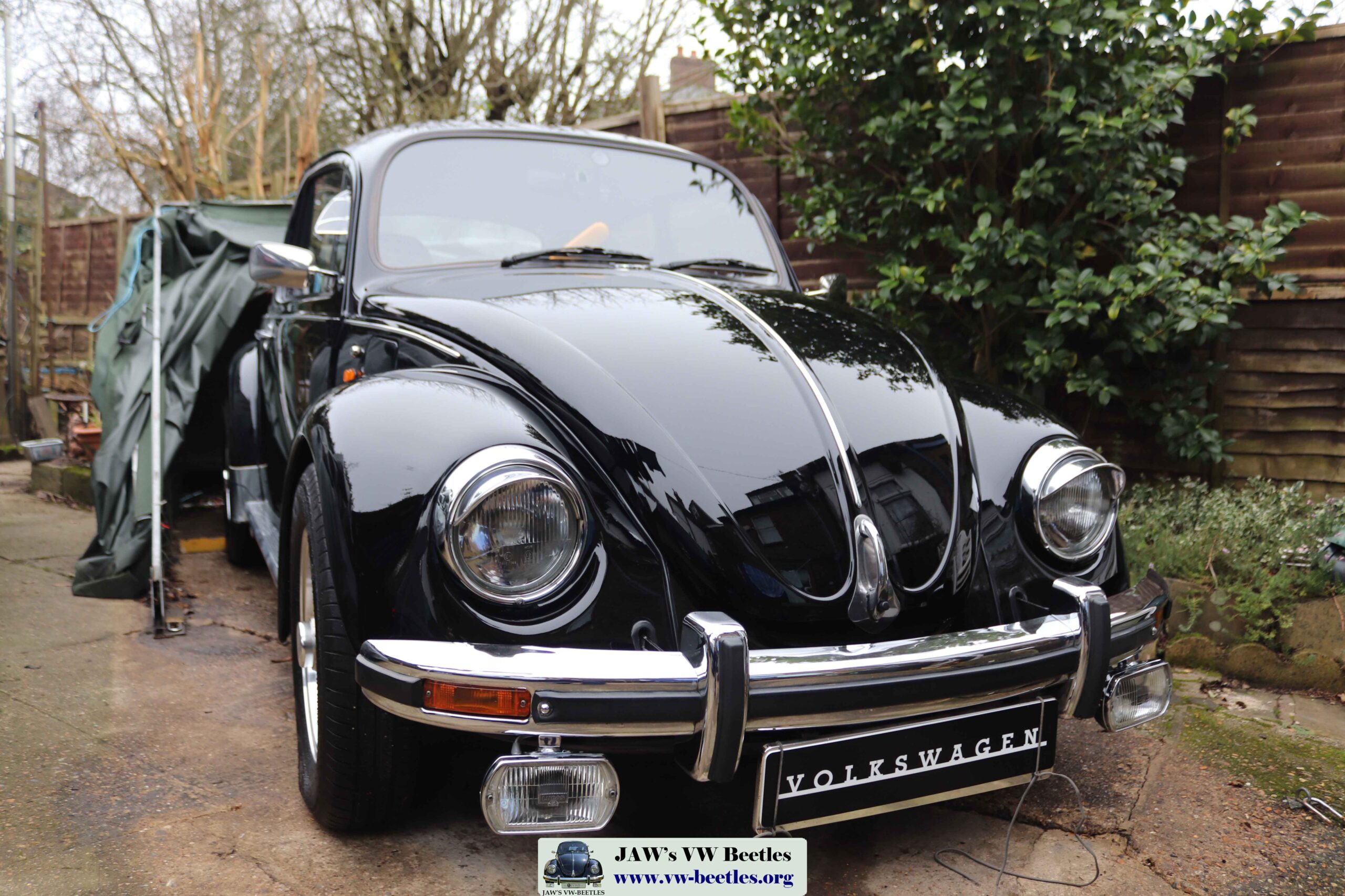 Bertie18thJan2025 (1)