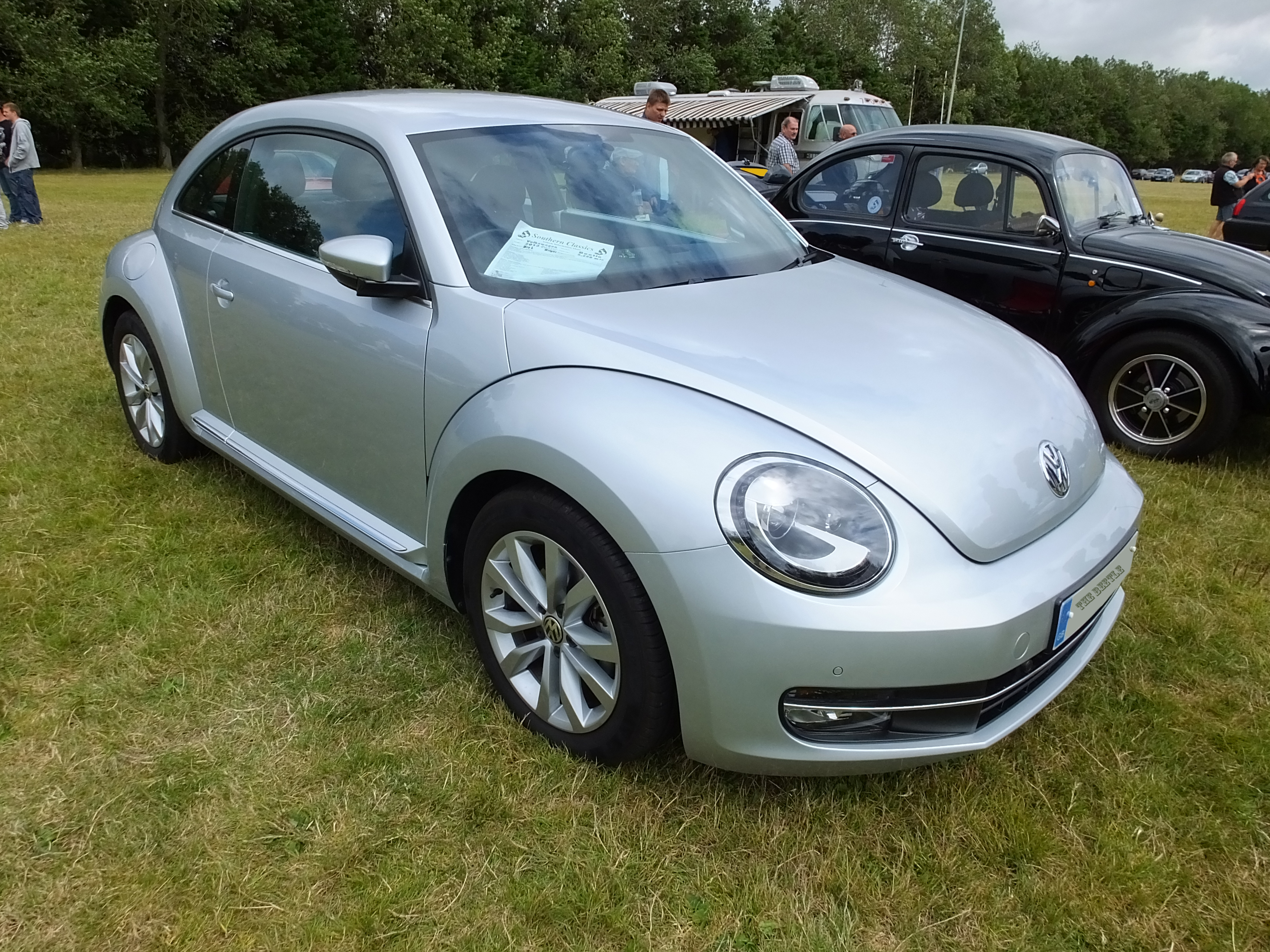 mybeetle17aug2014 (28)