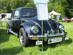MyBeetle10thJune2018 (1)