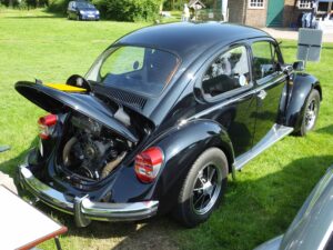 MyBeetle10thJune2018 (10)