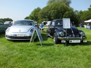 MyBeetle10thJune2018 (11)
