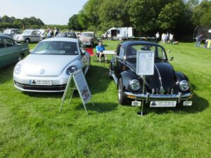 MyBeetle10thJune2018 (12)