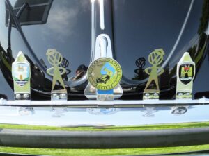 MyBeetle10thJune2018 (13)