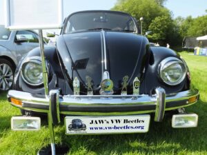 MyBeetle10thJune2018 (14)