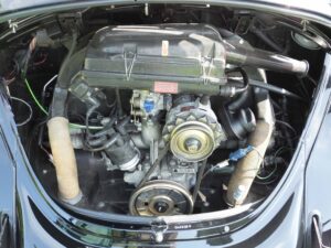 MyBeetle10thJune2018 (15)
