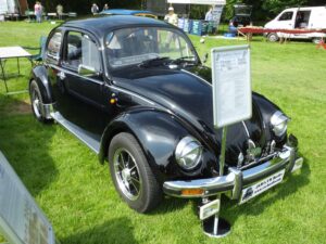 MyBeetle10thJune2018 (16)