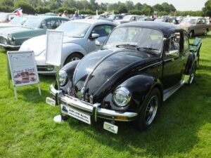 MyBeetle10thJune2018 (17)