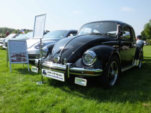 MyBeetle10thJune2018 (4)