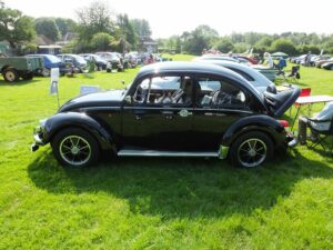 MyBeetle10thJune2018 (5)