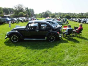 MyBeetle10thJune2018 (7)