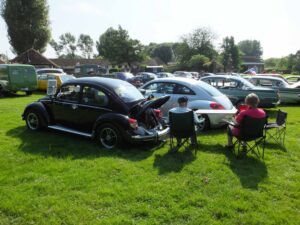 MyBeetle10thJune2018 (8)