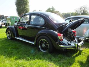 MyBeetle10thJune2018 (9)