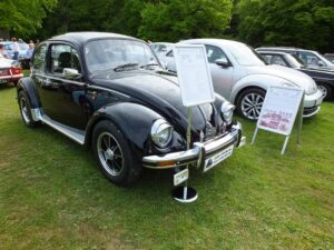 MyBeetle13thMay2018 (1)