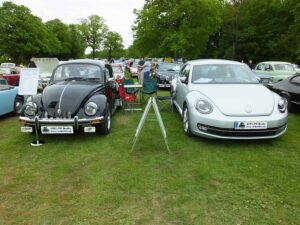 MyBeetle13thMay2018 (13)