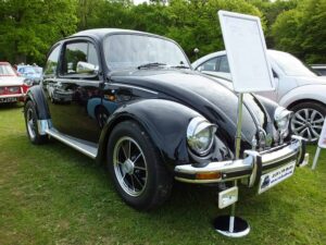MyBeetle13thMay2018 (2)