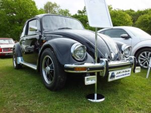 MyBeetle13thMay2018 (3)