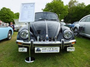 MyBeetle13thMay2018 (5)