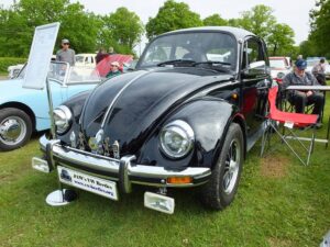 MyBeetle13thMay2018 (6)