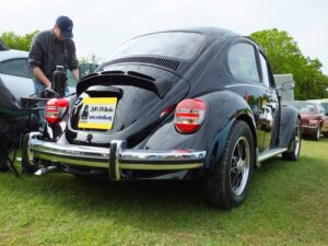 MyBeetle13thMay2018 (8)