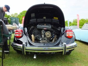 MyBeetle13thMay2018 (9)
