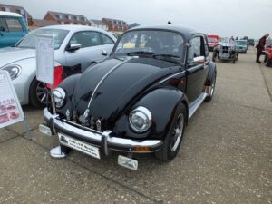 MyBeetle15thApril2018 (1)