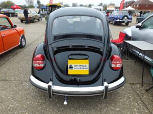 MyBeetle15thApril2018 (11)