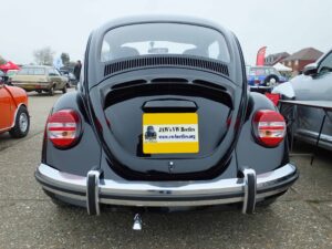 MyBeetle15thApril2018 (12)
