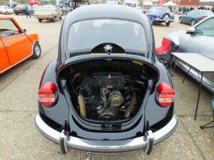 MyBeetle15thApril2018 (13)