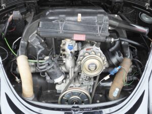 MyBeetle15thApril2018 (14)