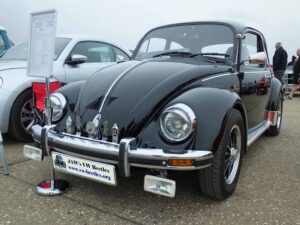 MyBeetle15thApril2018 (3)