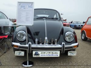 MyBeetle15thApril2018 (5)