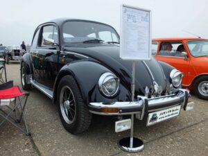 MyBeetle15thApril2018 (6)