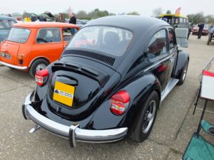 MyBeetle15thApril2018 (7)