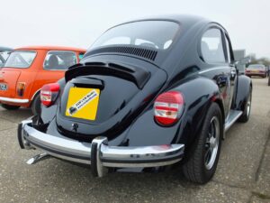 MyBeetle15thApril2018 (8)