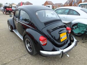 MyBeetle15thApril2018 (9)
