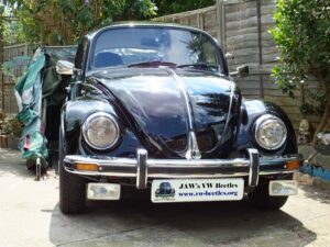 MyBeetle21sJuly2018 (2)