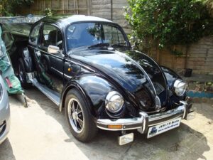 MyBeetle21sJuly2018 (3)