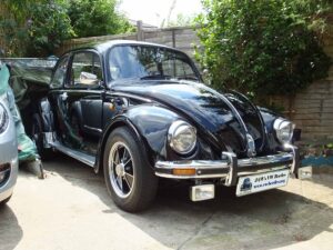 MyBeetle21sJuly2018 (4)