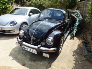 MyBeetle21sJuly2018 (5)