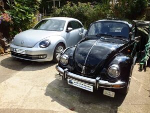 MyBeetle21sJuly2018 (6)