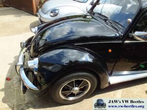 MyBeetle21sJuly2018 (7)