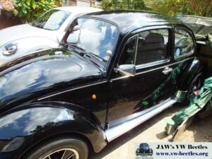 MyBeetle21sJuly2018 (8)