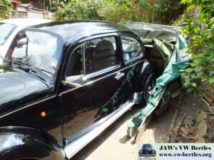 MyBeetle21sJuly2018 (9)