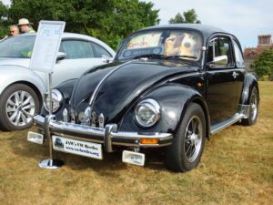 MyBeetle22ndJuly2018 (2)