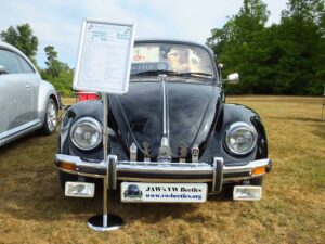 MyBeetle22ndJuly2018 (3)