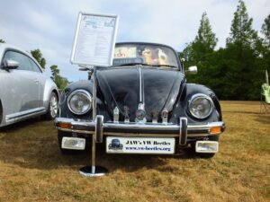 MyBeetle22ndJuly2018 (4)