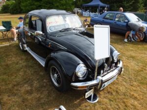 MyBeetle22ndJuly2018 (5)