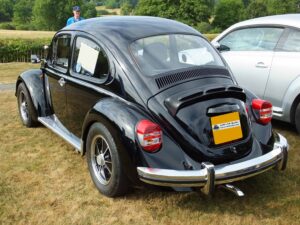 MyBeetle22ndJuly2018 (6)