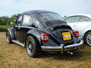 MyBeetle22ndJuly2018 (7)